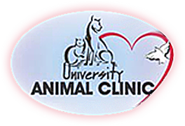 TheUniversityAnimalClinic.com